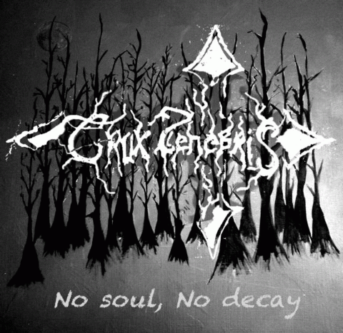 Crux Tenebris : No Soul, No Decay
